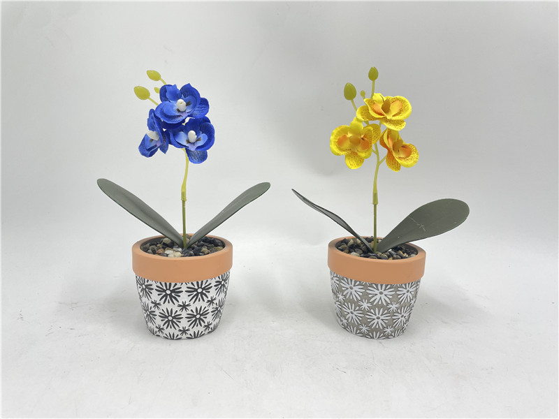 NEWEST SAMPLE--417-4