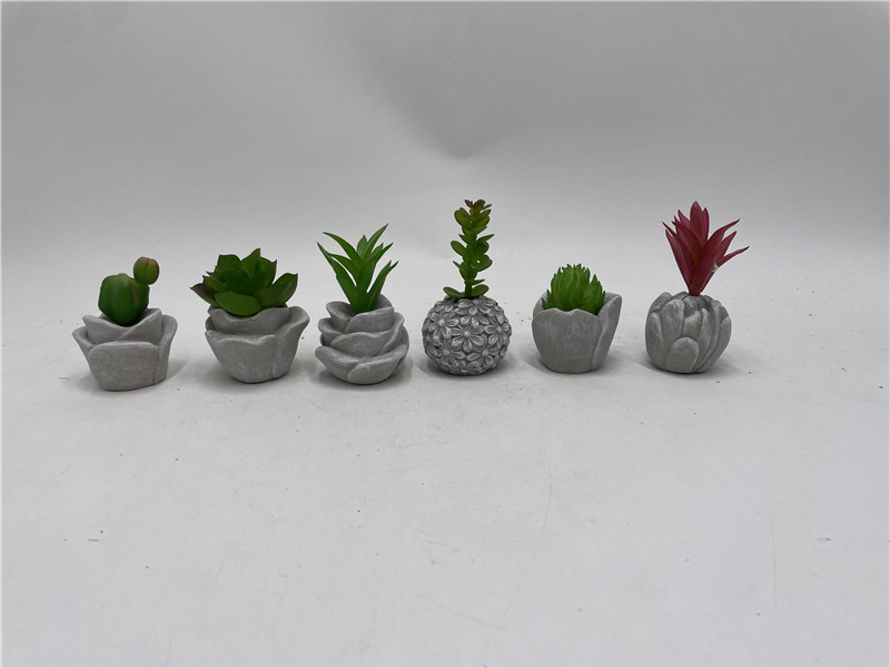 NEWEST SAMPLE--417-50