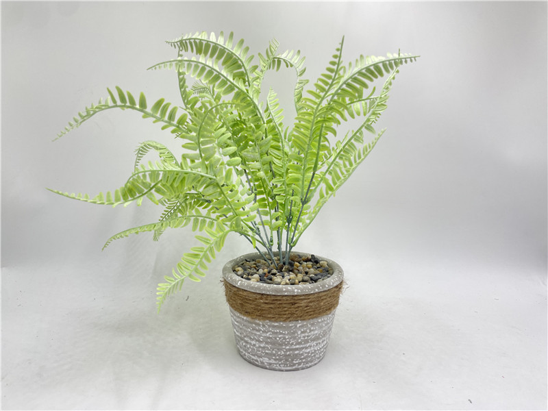 NEWEST SAMPLE--417-62