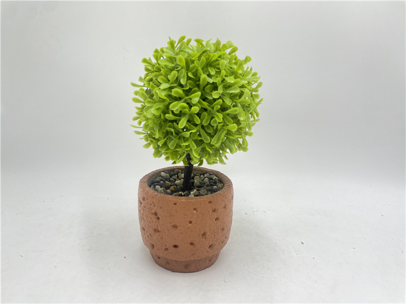 NEWEST SAMPLE--417-81