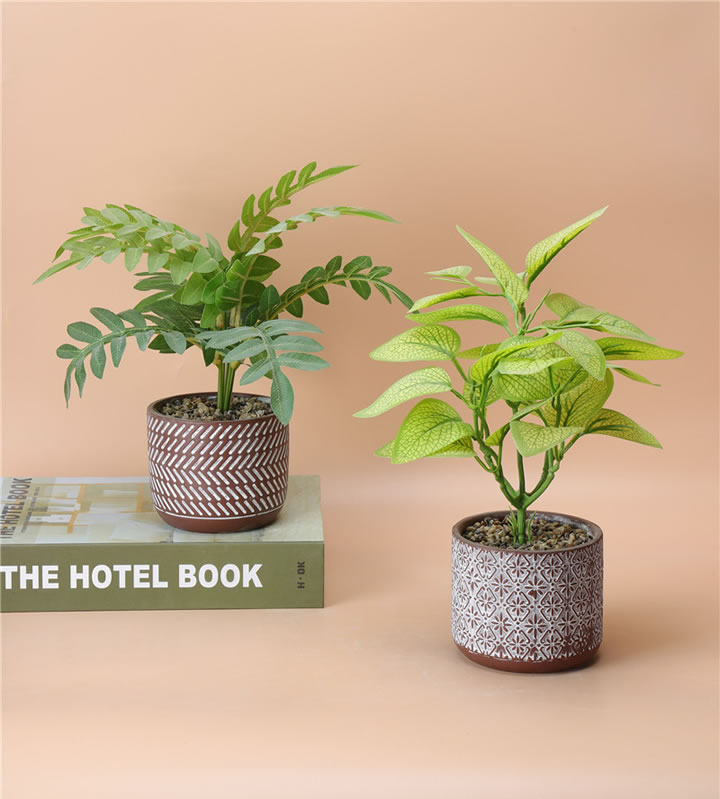 NEWEST SAMPLE--100-36