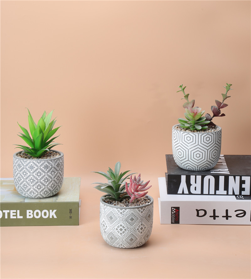 NEWEST SAMPLE--100-37