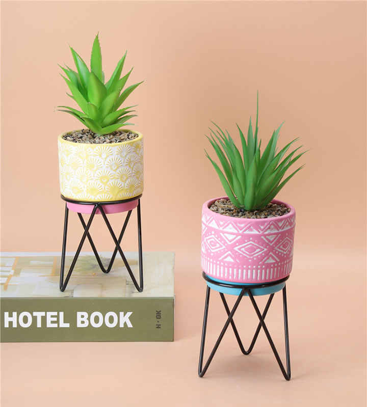 NEWEST SAMPLE--100-38