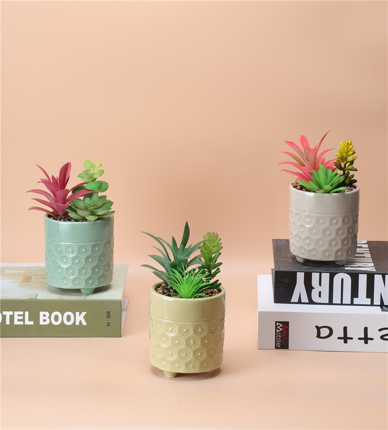 NEWEST SAMPLE--100-43