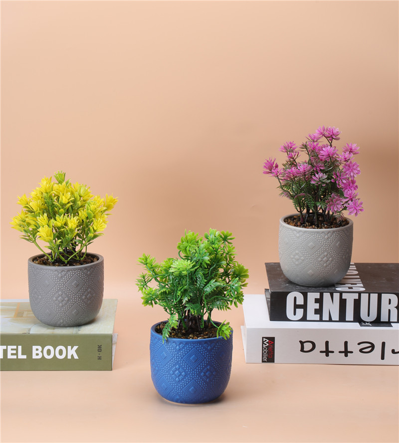 NEWEST SAMPLE--100-71