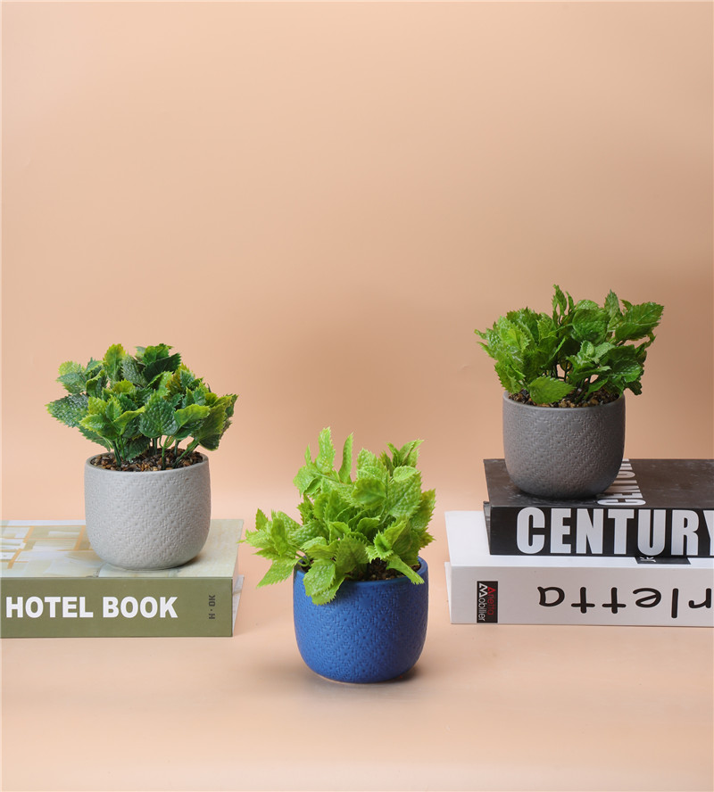 NEWEST SAMPLE--100-72