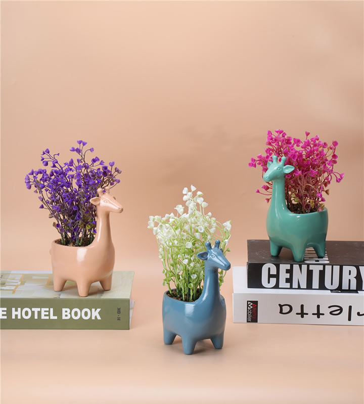 NEWEST SAMPLE--100-006