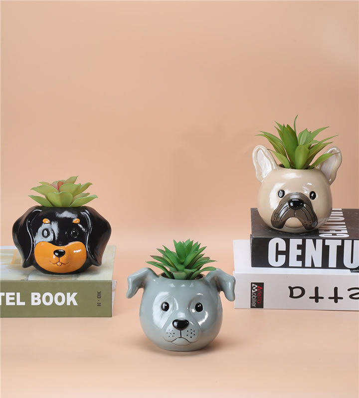 NEWEST SAMPLE--100-008