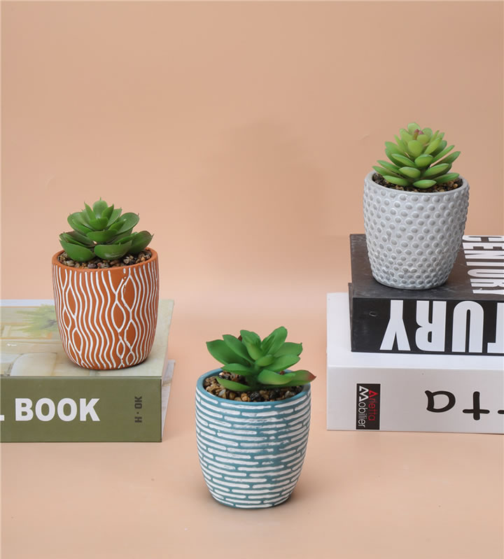 NEWEST SAMPLE--100-022